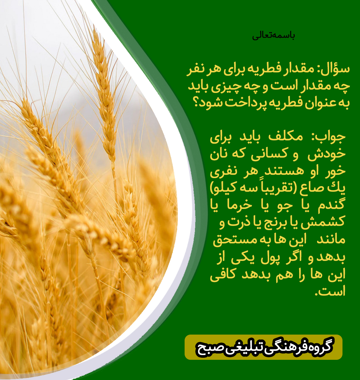 جنس و مقدار زکات فطره