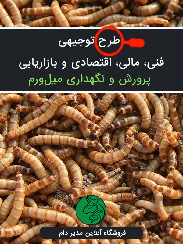 طرح توجيهي پرورش ميل ورم