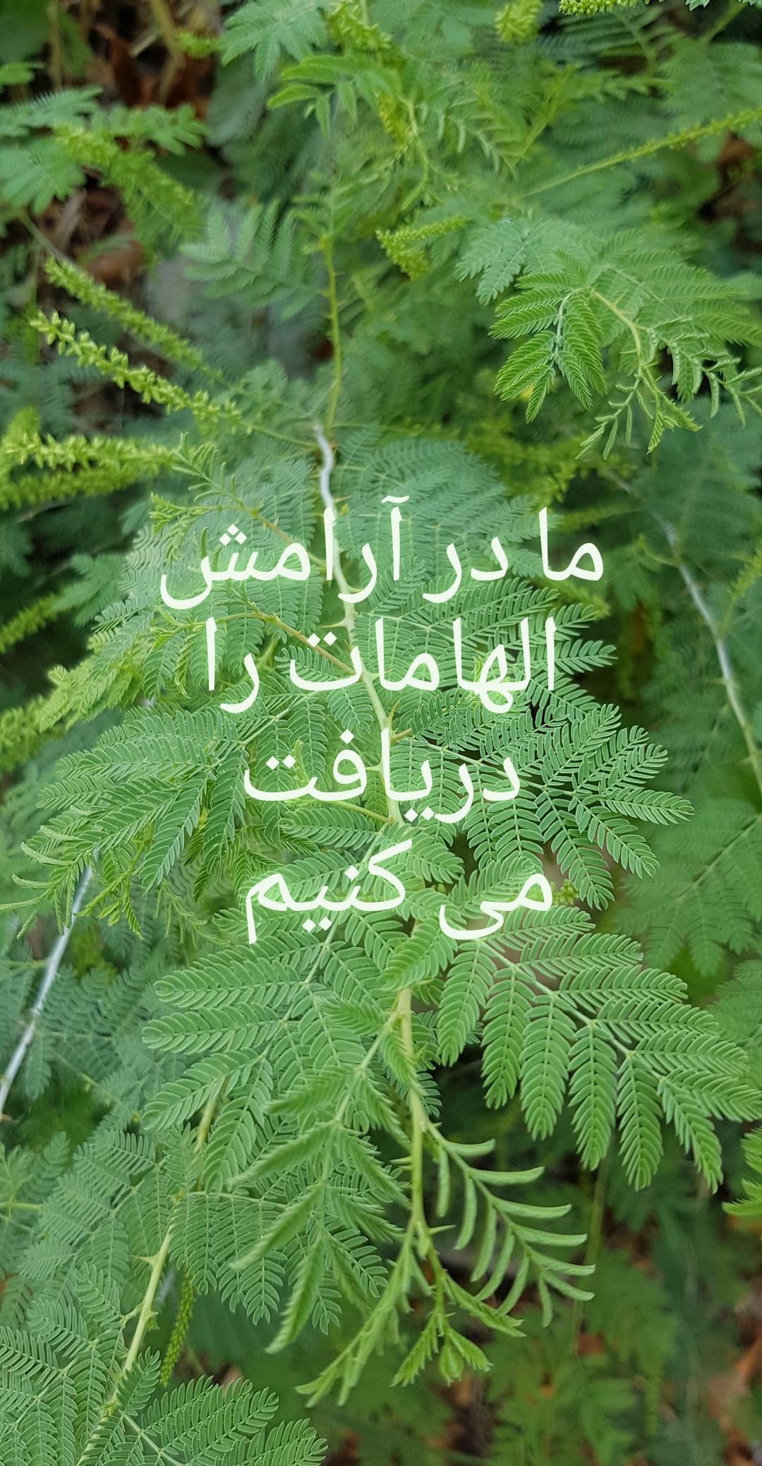 دانشگاه 