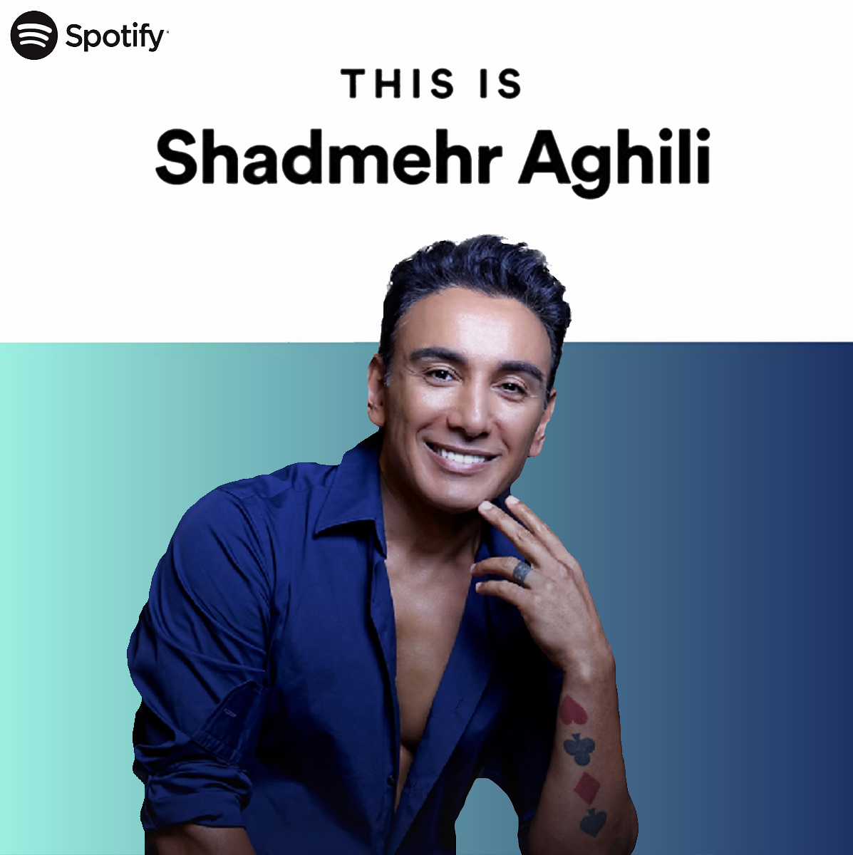 دانلود پلی لیست Playlist Shadmehr Aghili